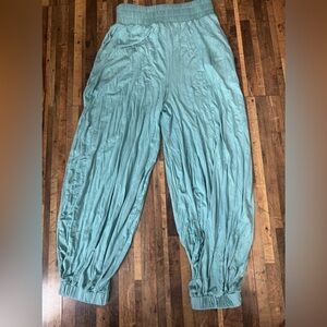 NWT Ali Free People pants!